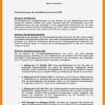 Fsj Bewerbung Vorlage Best Of Bewerbung Fsj Muster 0 original V Bildwandler Für Bfd so