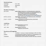 Fsj Bewerbung Vorlage Hübsch 13 Bewerbung Für Fsj Muster