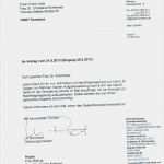 Fsj Bewerbung Vorlage Hübsch 13 Fsj Bewerbungsschreiben