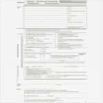 Führerschein Kindergarten Vorlage Erstaunlich tolle Texas Führerschein Vorlage Galerie Ideen