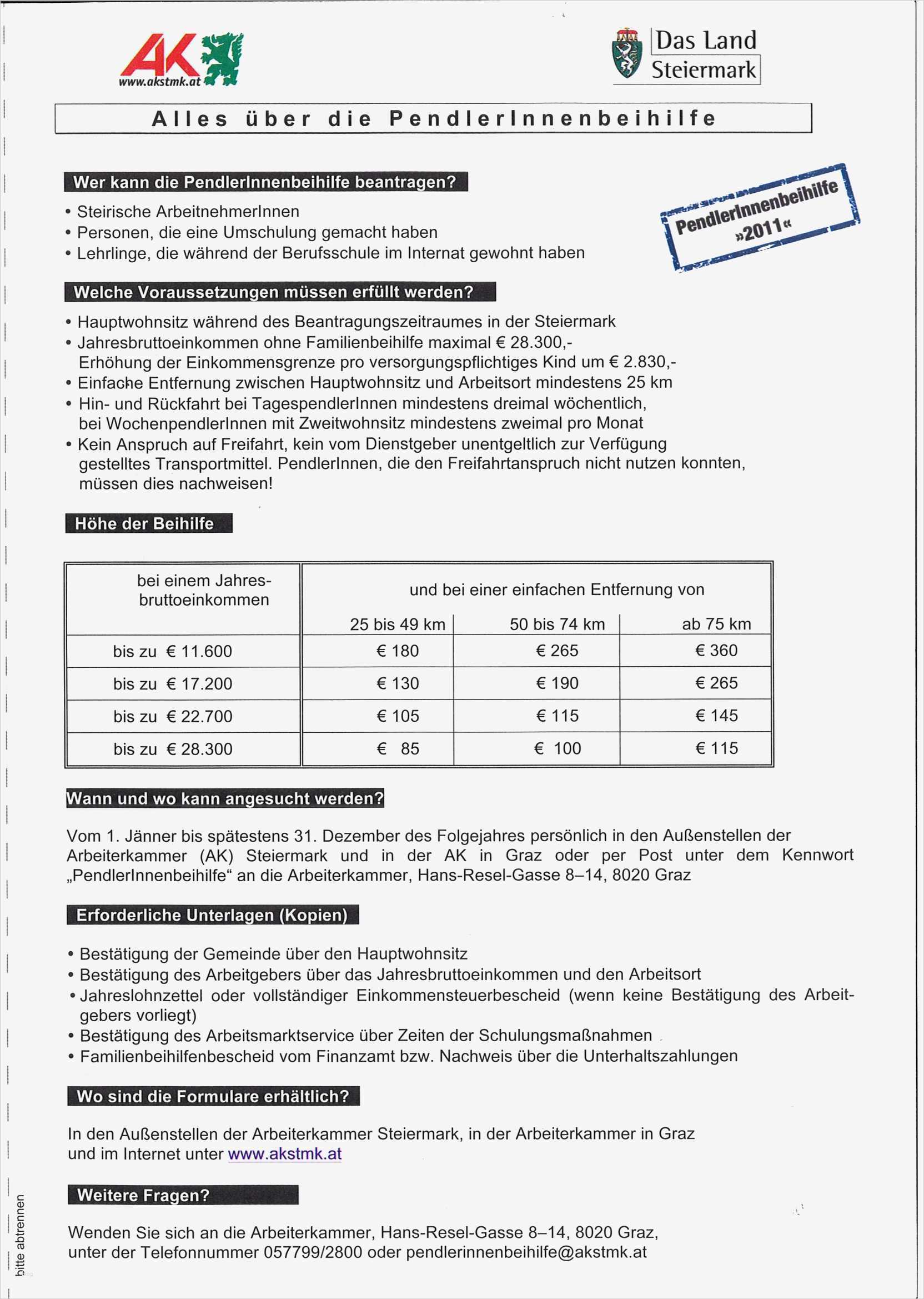 Führerschein Kindergarten Vorlage Luxus Gemütlich Führerschein Vorlage Ideen Beispiel