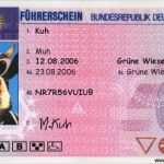 Führerschein Vorlage Erstaunlich Lustigen Ausweis Führerschein Und Kinovorschau Online