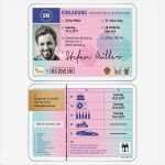 Führerschein Vorlage Inspiration Einladungskarte Als Führerschein Mit Eigenem Foto
