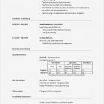 Führerschein Vorlage Pdf Best Of Großartig Führerschein Vorlage Galerie Beispiel