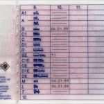 Führerschein Vorlage Pdf Einzigartig Großzügig Führerschein Vorlage Fotos Entry Level Resume