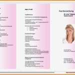 Führerschein Vorlage Pdf Erstaunlich Gemütlich Führerschein Vorlage Ideen Beispiel