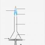 Führerschein Vorlage Pdf Fabelhaft tolle Texas Führerschein Vorlage Galerie Ideen