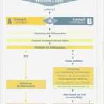Führerschein Vorlage Pdf Gut Fein Führerschein Vorlage Frei Galerie Entry Level