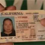 Führerschein Vorlage Pdf Wunderbar Charmant Indiana Führerschein Vorlage Zeitgenössisch