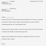 Führerschein Vorlage Schönste Berühmt Führerschein Vorlage Galerie