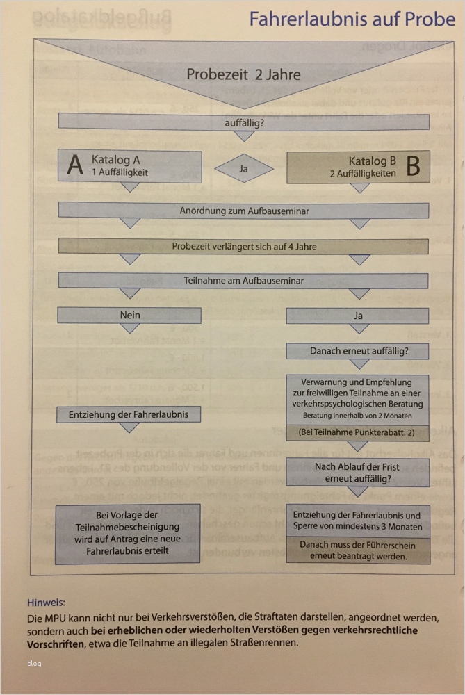 Führerschein Vorlage Word Erstaunlich Gemütlich Führerschein Vorlage Frei Ideen