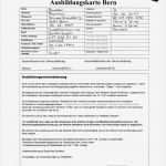 Führerschein Vorlage Word Genial Großartig Führerschein Vorlage Galerie Beispiel