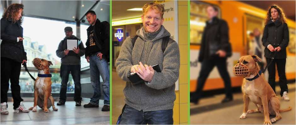 Führungszeugnis Zur Vorlage Bei Einer Behörde Süß Sachkundenachweis