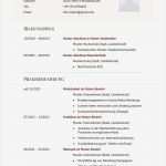 Geburtsplan Vorlage Pdf Bewundernswert Lebenslauf Muster Für Führungskraft