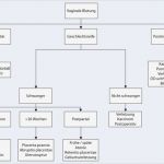 Geburtsplan Vorlage Pdf Cool Schön Schwangerschaft Journal Vorlage Freie Ideen