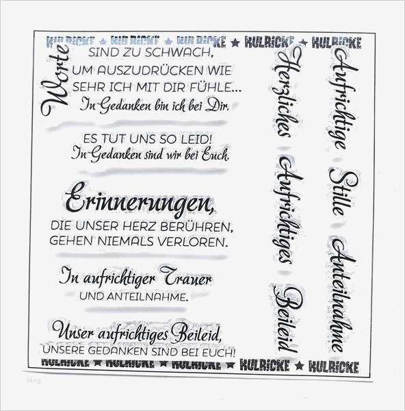 Geburtsplan Vorlage Pdf Cool tolle Geburtsplan Bilder Bilder Für Das Lebenslauf