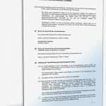 Geburtsplan Vorlage Pdf Genial Datenschutzerklärung Line Shop