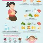 Geburtsplan Vorlage Pdf Gut Foto 4 8 Beikostplan Für Das 1 Lebensjahr