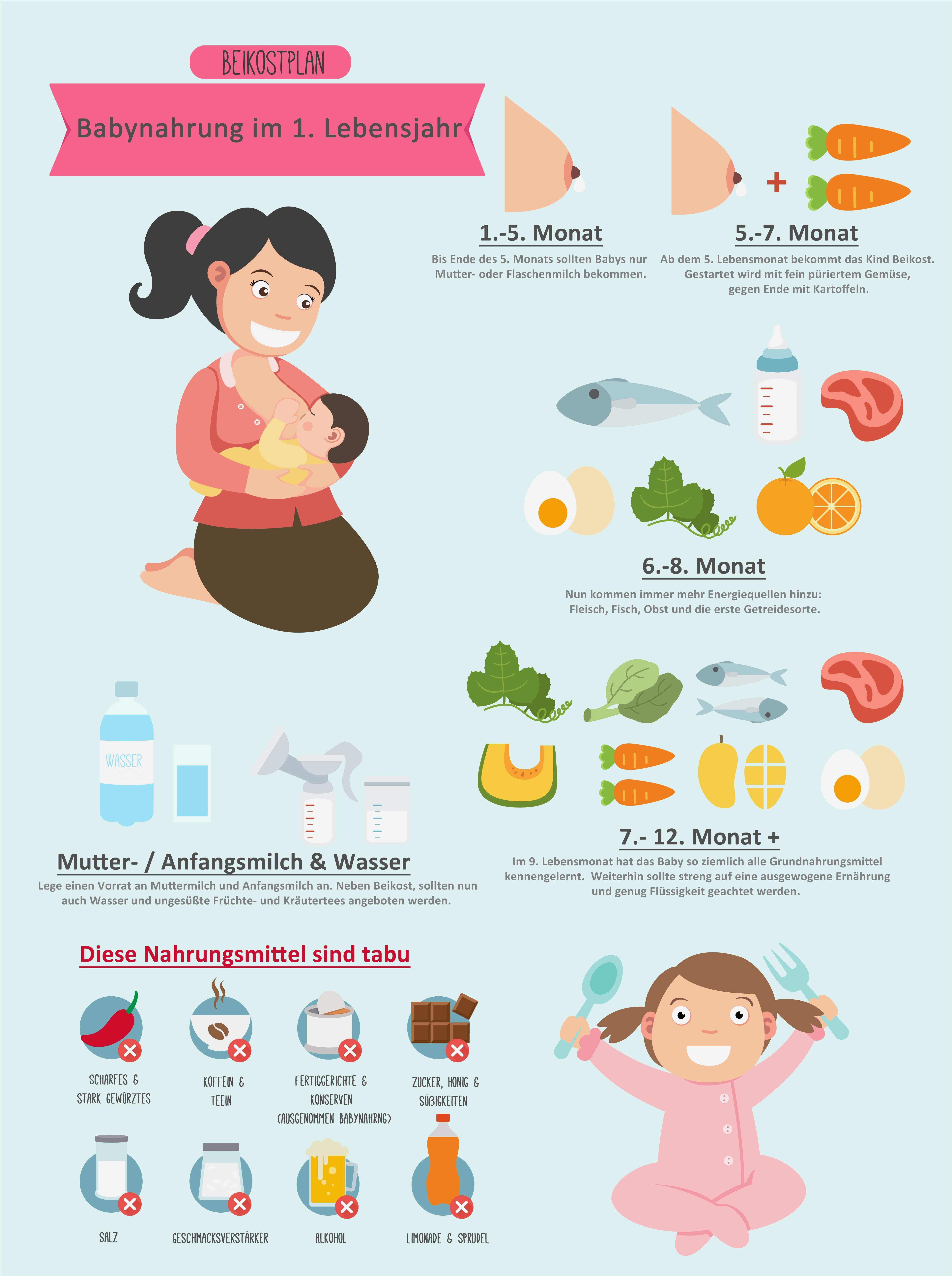 Geburtsplan Vorlage Pdf Gut Foto 4 8 Beikostplan Für Das 1 Lebensjahr