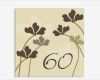 Geburtstagseinladung 60 Vorlage Inspiration Einladungen Zum 60 Geburtstag Growing