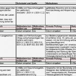 Gefährdungsbeurteilung Kran Vorlage Schön Gefährdungsbeurteilung Anschlagen Und Bewegen Von Lasten