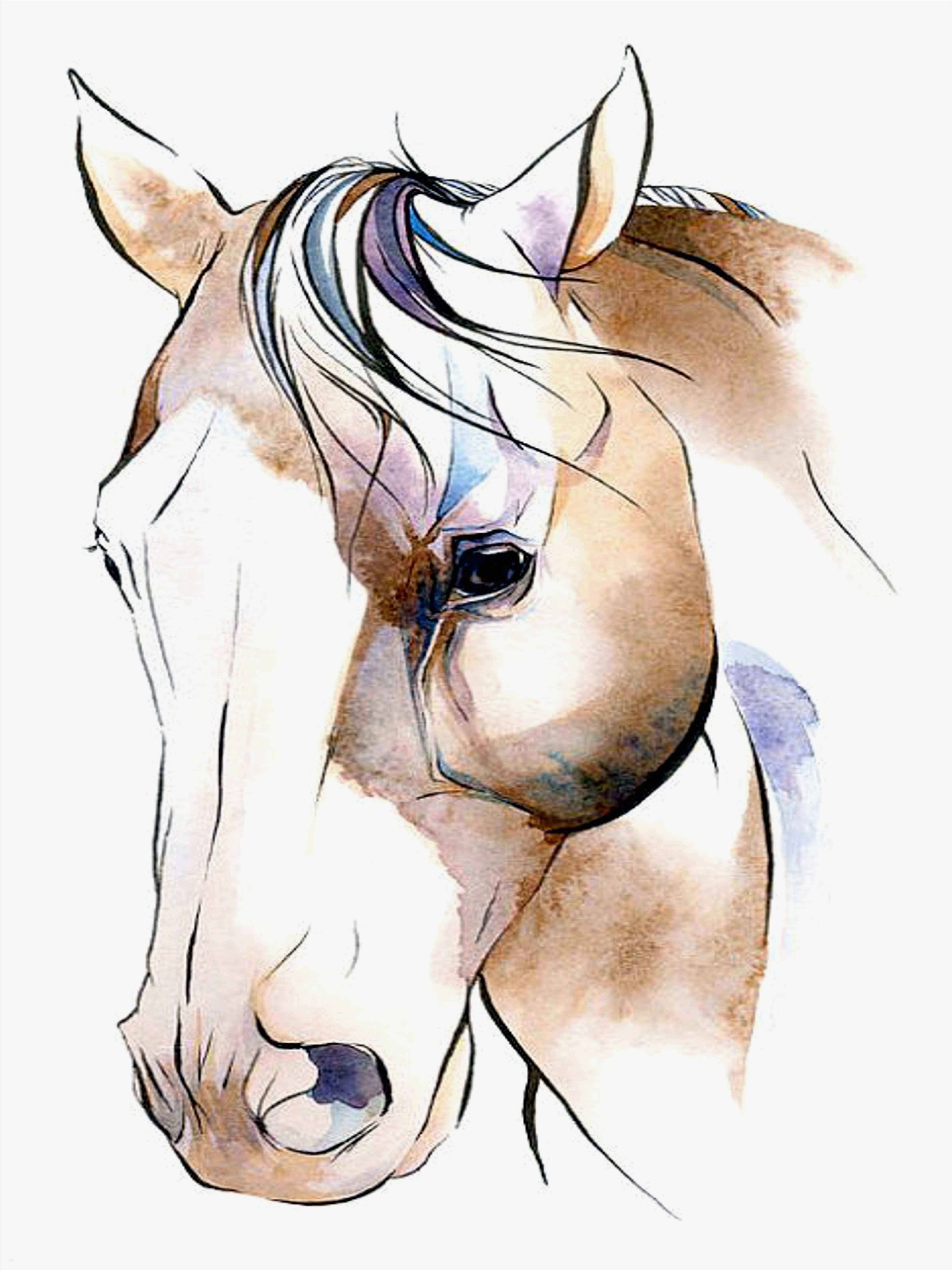 Gefährdungsbeurteilung Nach 5 Arbeitsschutzgesetz Vorlage Angenehm Pferdekopf Vorlage