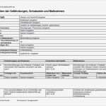 Gefährdungsbeurteilung Pdf Vorlage Gut Fine Dach Zertifizierung Vorlage Motif Line Birth