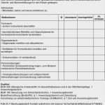 Gefährdungsbeurteilung Vorlage Pdf Großartig tolle Fragebogen Vorlage Pdf Ideen Entry Level Resume