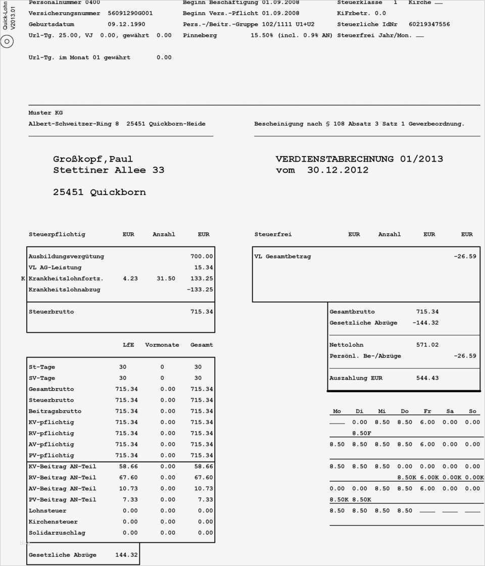 Gehaltsabrechnung Vorlage Elegant Gemütlich Gehaltsabrechnung Vorlage Fotos Bilder Für Das