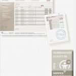 Gelangensbestätigung Vorlage Zum Ausfüllen Erstaunlich Zollsichere Pliance Von Der Znet Group