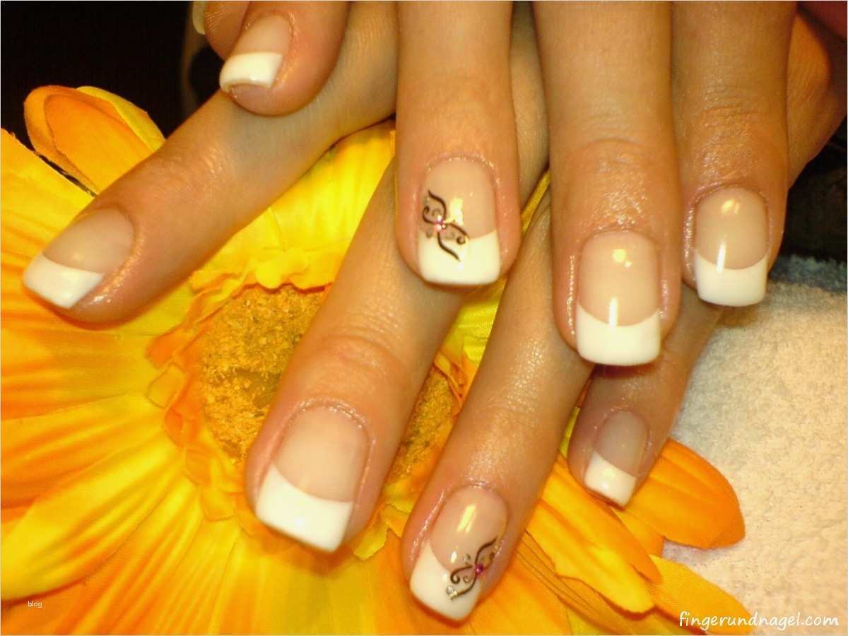 Gelnägel Vorlagen Cool Gelnägel Nageldesign Bilder Und Vorlagen