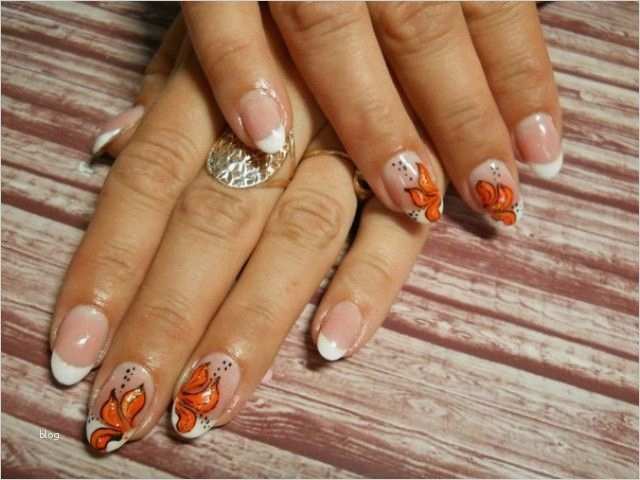 40 Großartig Gelnägel Vorlagen Foto 2 543 best images about Nageldesign Bilder by World Nails