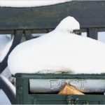 Geschäftliche Weihnachtsgrüße Vorlagen Erstaunlich Weihnachtsgrüße Chef Förmlich