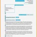 Geschäftsbrief Vorlage Zeilenabstände Neu 5 Bewerbung Datum Position