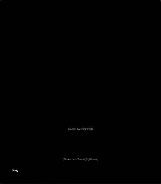 Handelsregisteranmeldung GmbH UG Muster Word PDF