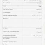 Gez Vollstreckung Widerspruch Vorlage Angenehm Erfreut Antrag Auf Beurlaubung formular Zeitgenössisch