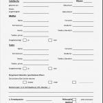 Gez Vollstreckung Widerspruch Vorlage Bewundernswert Nett Antrag Auf Freistellung formular Fotos Bilder Für