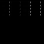 Gitarrenakkorde Vorlage Neu Gitarre Verschiebbare Akkorde – Wikibooks Sammlung