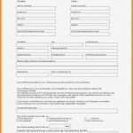 Gmbh Kaufvertrag Vorlage Neu 12 Kaufvertrag ür Auto