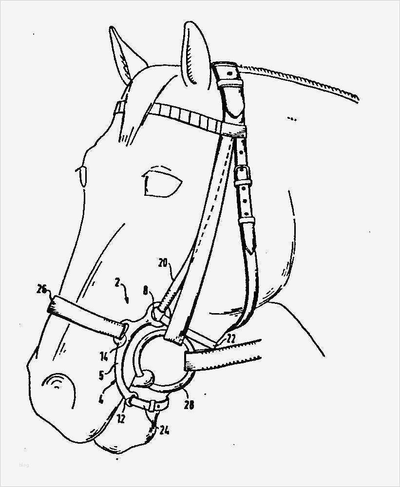 Graffiti Vorlagen Neu Graffiti Bilder Zum Ausmalen Graffiti Vorlagen Zum