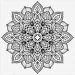 Grafik Vorlagen Erstaunlich Vektor Grafik Mandala — Stockvektor © Matorinni