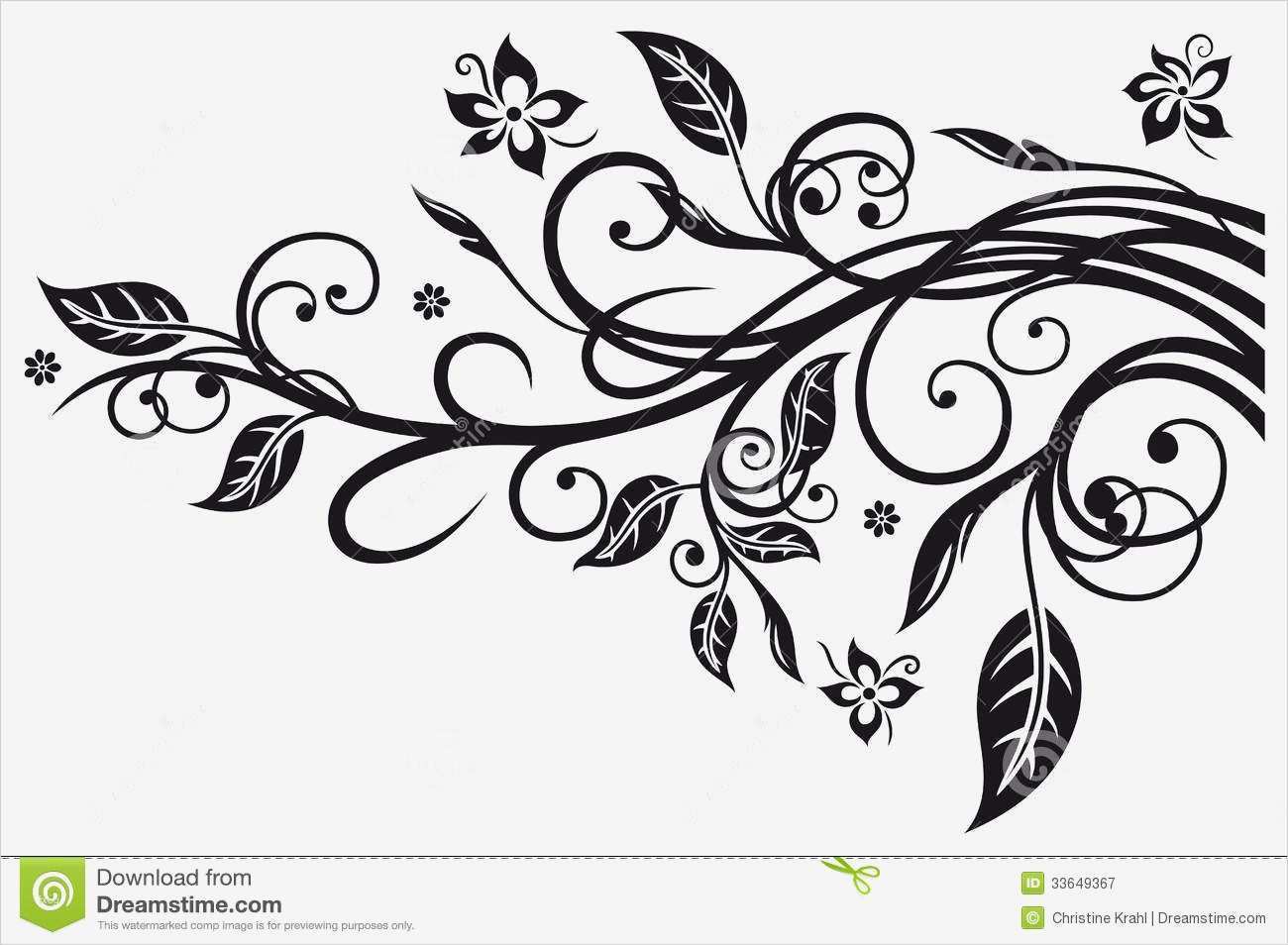 Grafik Vorlagen Neu Blätter Blumen Ranke Vektor Abbildung Illustration Von