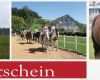 Gutschein Reiten Vorlage Cool Kontakt &amp; Info – Narnhoferwirt