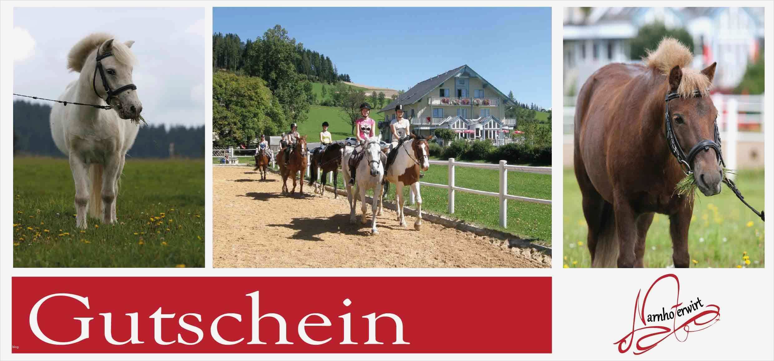 Gutschein Reiten Vorlage Cool Kontakt & Info – Narnhoferwirt
