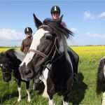 Gutschein Reiten Vorlage Elegant Fehmarn Deutschlands sonneninsel