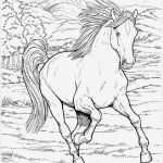 Gutschein Reiten Vorlage Erstaunlich Ausmalbilder Pferde 16