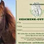 Gutschein Reiten Vorlage Erstaunlich islandpferde Vom Frieslandhof