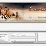 Gutschein Reiten Vorlage Erstaunlich Reiterferien Auf Hof Krempel