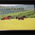 Gutschein Reiten Vorlage Genial Reitschule Anja Brunoni