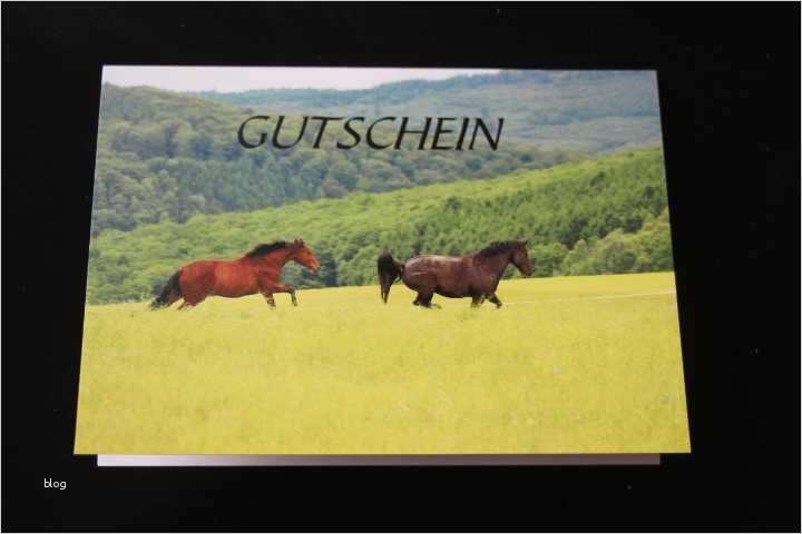 Gutschein Reiten Vorlage Genial Reitschule Anja Brunoni